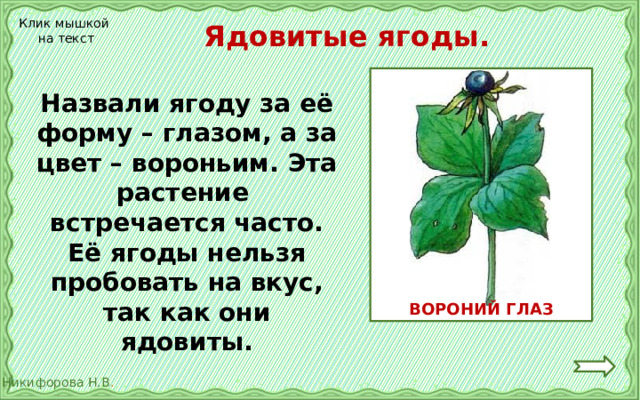 Ядовитые ягоды. Клик мышкой на текст Назвали ягоду за её форму – глазом, а за цвет – вороньим. Эта растение встречается часто. Её ягоды нельзя пробовать на вкус, так как они ядовиты. ВОРОНИЙ ГЛАЗ 