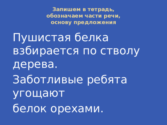 Запишем в тетрадь,  обозначаем части речи,  основу предложения Пушистая белка взбирается по стволу дерева. Заботливые ребята угощают белок орехами. 