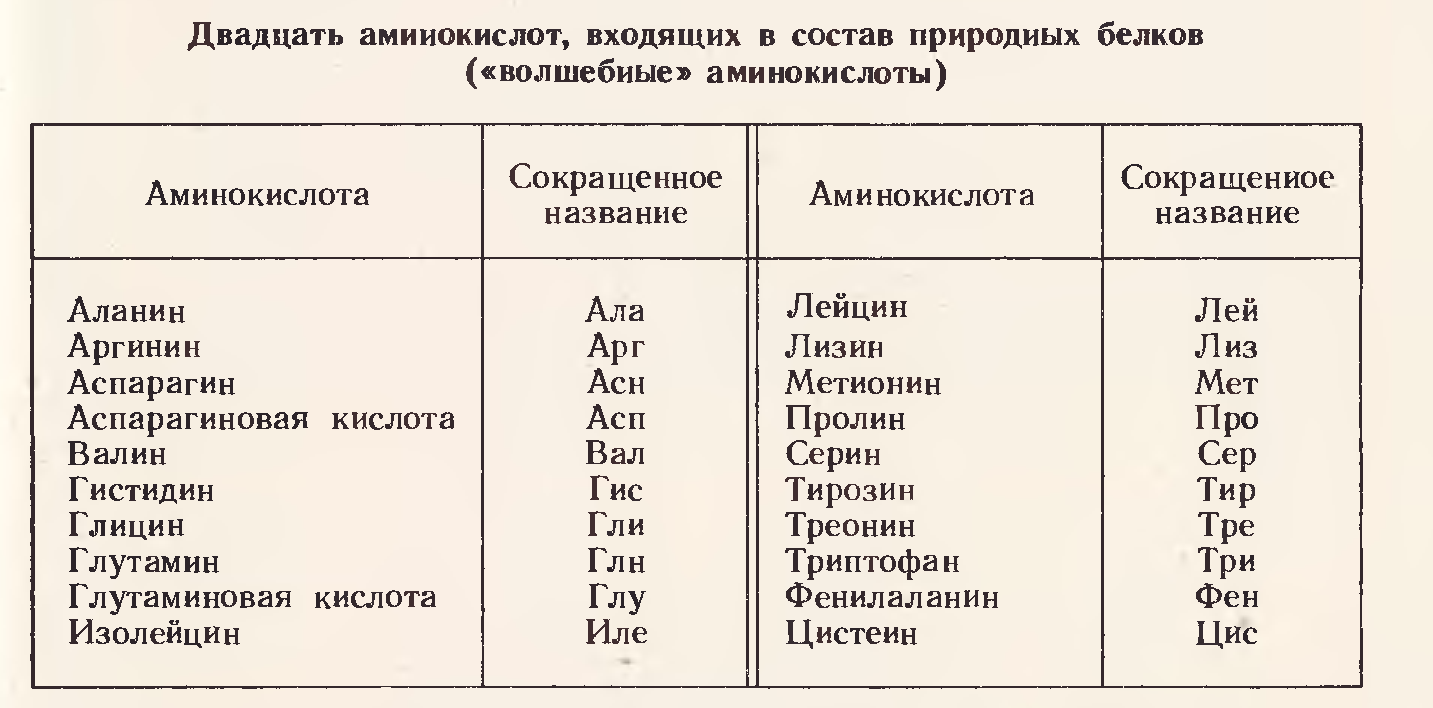 Сокращенное наименование. 20 Основных аминокислот входящих в белки. Сокращения аминокислот таблица. 20 Белковых аминокислот название. Аминокислоты входящие в состав белков таблица.