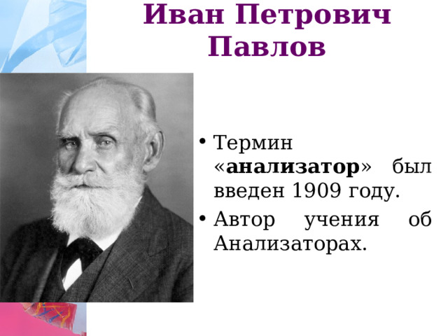 Иван Петрович Павлов Термин « анализатор » был введен 1909 году. Автор учения об Анализаторах. 