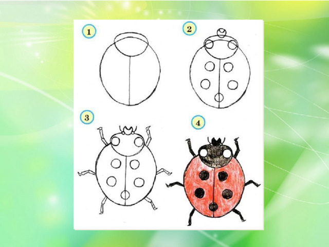 Нарисовать насекомых для 1 класса по окружающему миру