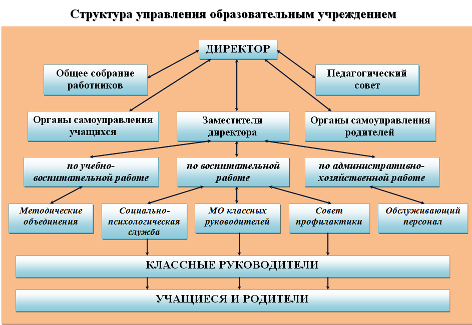 Общественные организации в системе образования презентация