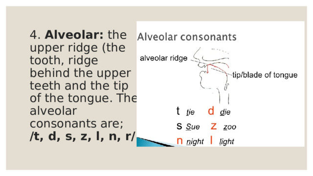 4. Alveolar: the upper ridge (the tooth, ridge behind the upper teeth and the tip of the tongue. The alveolar consonants are;  /t, d, s, z, l, n, r/ 