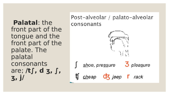  Palatal : the front part of the tongue and the front part of the palate. The palatal consonants are; /t∫, d ʒ, ∫, ʒ, j/ 