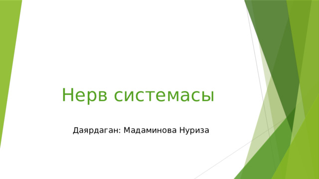 Нерв системасы Даярдаган: Мадаминова Нуриза 