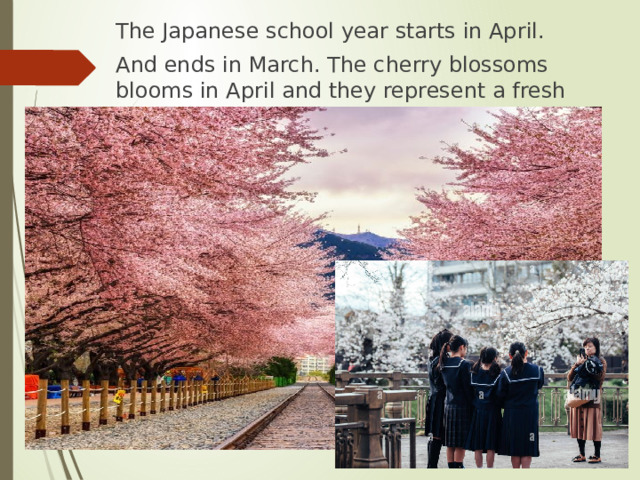 The Japanese school year starts in April. And ends in March. The cherry blossoms blooms in April and they represent a fresh start. 
