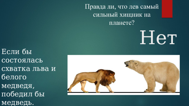 Нет Если бы состоялась схватка льва и белого медведя, победил бы медведь. 