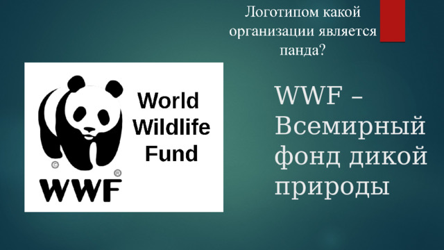 WWF –Всемирный фонд дикой природы 