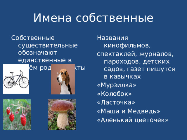 Имена собственные Собственные существительные обозначают единственные в своём роде объекты Названия кинофильмов, спектаклей, журналов, пароходов, детских садов, газет пишутся в кавычках «Мурзилка» «Колобок» «Ласточка» «Маша и Медведь» «Аленький цветочек» 