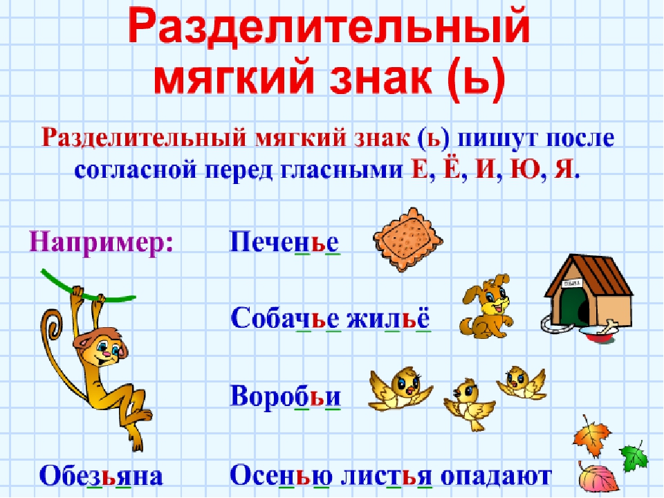 Работы мягкого знака. Правило правописания слов с разделительным мягким знаком. Разделительный мягкий знак памятка. Разделительный мягкий знак пишется правило 2 класс. Разделительный мягкий знак правило 2 класс.