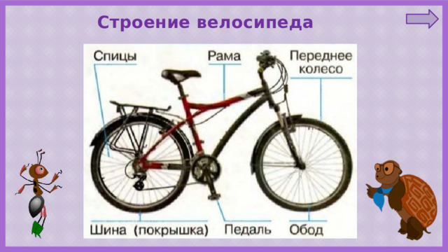 Строение велосипеда 