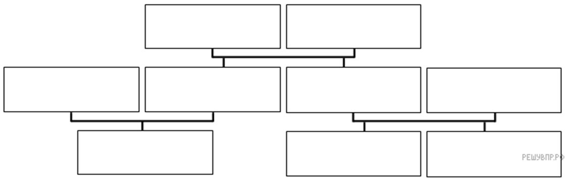 Родственные связи можно представить в виде схемы впр 4 класс ответы
