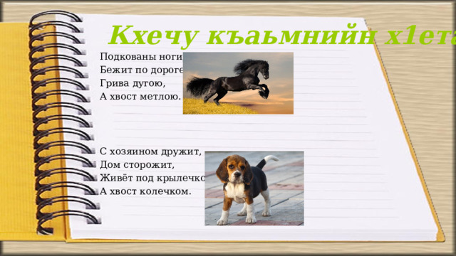 Кхечу къаьмнийн х1етал-металш Подкованы ноги, Бежит по дороге: Грива дугою, А хвост метлою.   С хозяином дружит, Дом сторожит, Живёт под крылечком, А хвост колечком. 