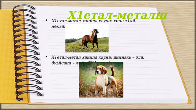 Х1етал-металш Х1етал-метал хаийла хьуна: хина т1ай, некъана накъост. (Говр.)    Х1етал-метал хаийла хьуна: дийнахь – эла, буьйсана – лай. (Ж1аьла.) 