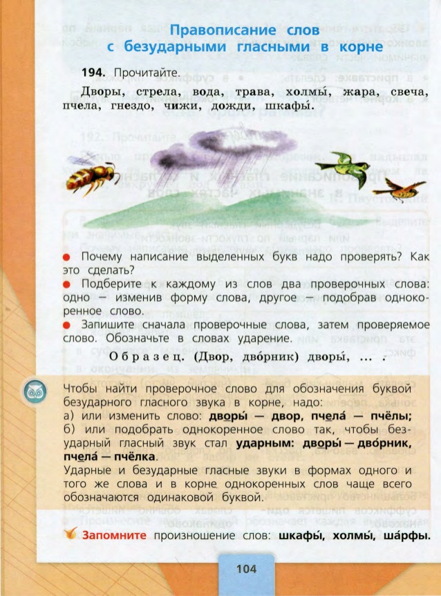 Написание каких букв в выделенных словах. Русский язык 3 класс учебник 1 часть стр 104. Русский язык 3 класс 1 часть учебник стр 104 правило. Русский язык 3 класс 1 часть учебник. Русский язык 3 класс Канакина 1 часть стр 104.