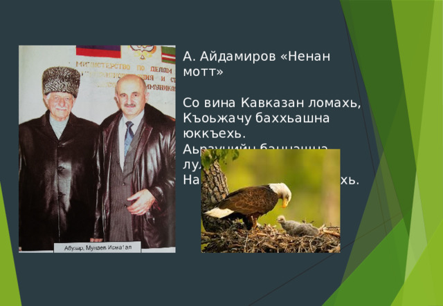 А. Айдамиров «Ненан мотт» Со вина Кавказан ломахь, Къоьжачу баххьашна юккъехь. Аьрзунийн баннашна лулахь Нанас со кхиийна берахь. 