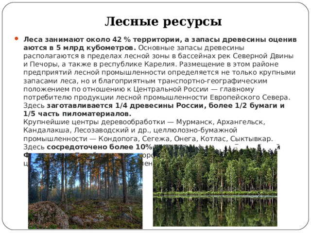 Лесные ресурсы европейского севера. Лесные ресурсы европейского севера России. Природные условия европейского севера. Природные богатства европейского севера. Богатство европейского севера