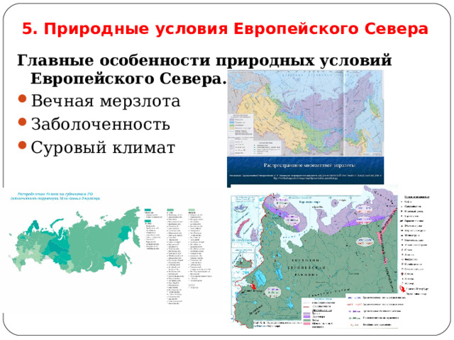 5. Природные условия Европейского Севера Главные особенности природных условий Европейского Севера. Вечная мерзлота Заболоченность Суровый климат 