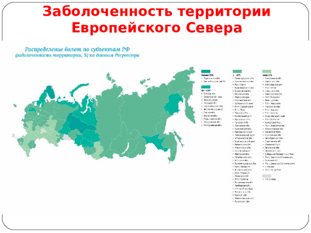 Заболоченность территории Европейского Севера 