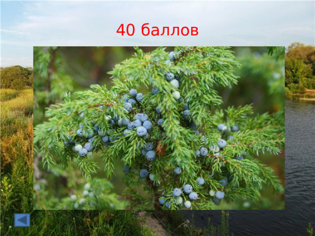 40 баллов 