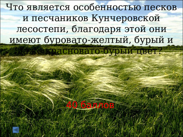 Что является особенностью песков и песчаников Кунчеровской лесостепи, благодаря этой они имеют буровато-желтый, бурый и даже красновато-бурый цвет? 40 баллов 