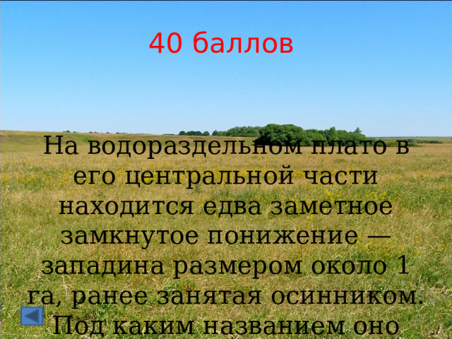 40 баллов На водораздельном плато в его центральной части находится едва заметное замкнутое понижение — западина размером около 1 га, ранее занятая осинником. Под каким названием оно известно? 