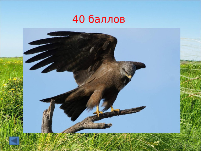 40 баллов 