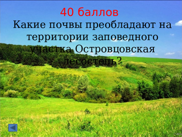 40 баллов Какие почвы преобладают на территории заповедного участка Островцовская лесостепь? 