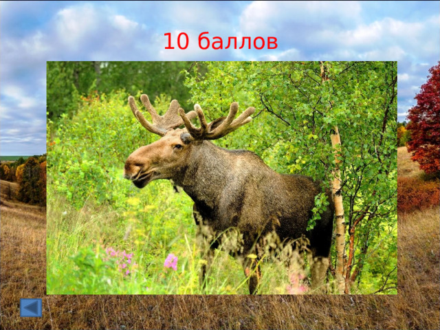 10 баллов 