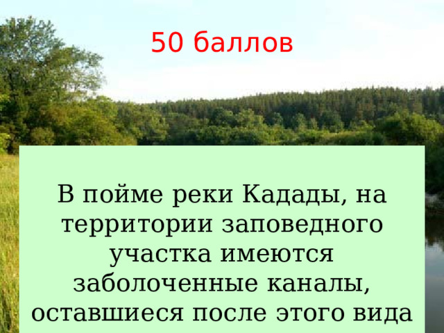 50 баллов В пойме реки Кадады, на территории заповедного участка имеются заболоченные каналы, оставшиеся после этого вида деятельности человека. 