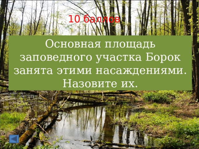 10 баллов Основная площадь заповедного участка Борок занята этими насаждениями. Назовите их. 