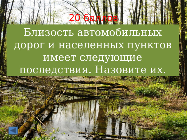 20 баллов Близость автомобильных дорог и населенных пунктов имеет следующие последствия. Назовите их. 