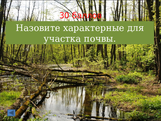 30 баллов Назовите характерные для участка почвы. 