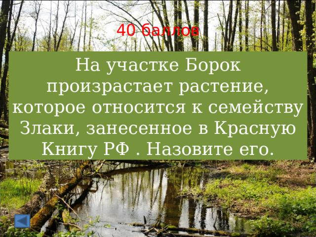 40 баллов На участке Борок произрастает растение, которое относится к семейству Злаки, занесенное в Красную Книгу РФ . Назовите его. 