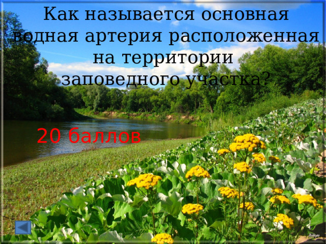 Как называется основная водная артерия расположенная на территории заповедного участка? 20 баллов 