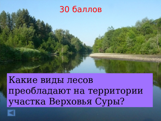 30 баллов Какие виды лесов преобладают на территории участка Верховья Суры? 