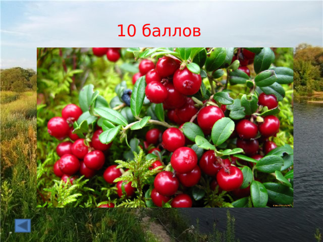 10 баллов 