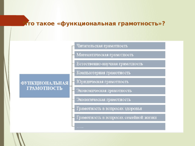 Что такое «функциональная грамотность»? 