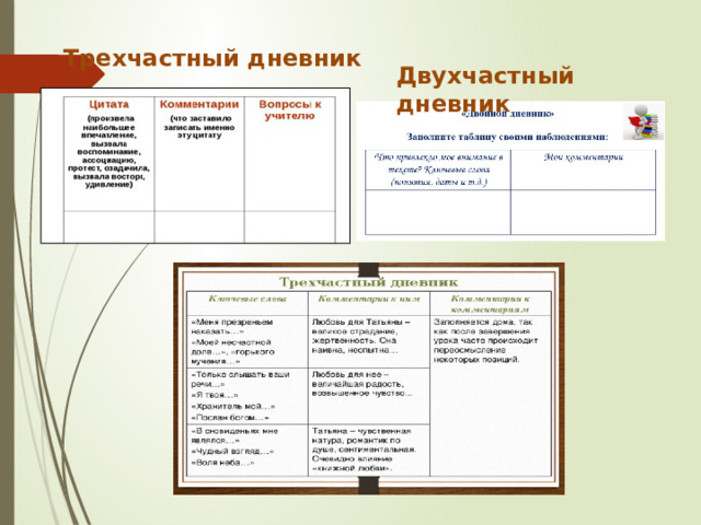 Трехчастный дневник Двухчастный дневник 