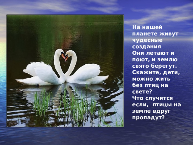 На нашей планете живут чудесные создания Они летают и поют, и землю свято берегут. Скажите, дети, можно жить без птиц на свете? Что случится если, птицы на земле вдруг пропадут? 