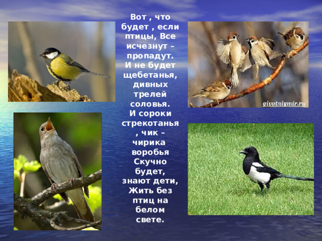 Вот , что будет , если птицы, Все исчезнут – пропадут. И не будет щебетанья, дивных трелей соловья. И сороки стрекотанья , чик – чирика воробья Скучно будет, знают дети, Жить без птиц на белом свете. 