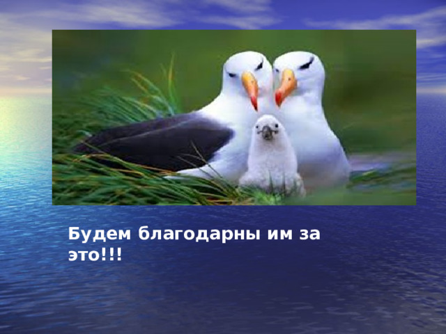 Будем благодарны им за это!!! 