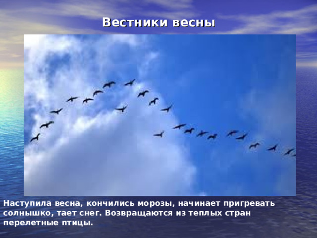 Наступила весна, кончились морозы, начинает пригревать солнышко, тает снег. Возвращаются из теплых стран перелетные птицы.  Вестники весны 