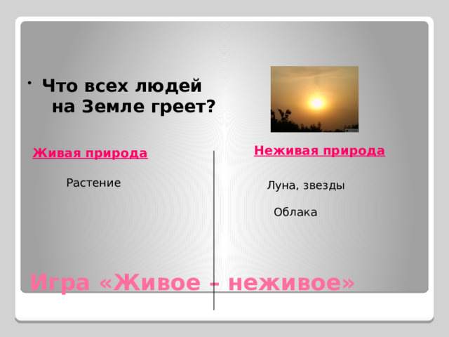  Что всех людей  на Земле греет? Солнце Неживая природа Живая природа Растение Луна, звезды  Облака Игра «Живое – неживое» 