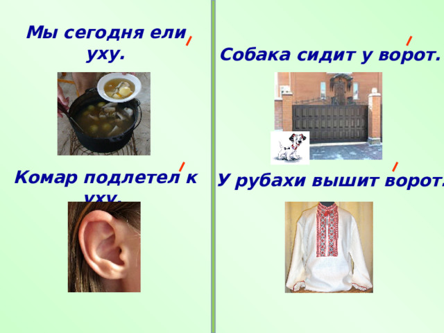  Мы сегодня ели уху.       Комар подлетел к уху.   Собака сидит у ворот.  У рубахи вышит ворот. 