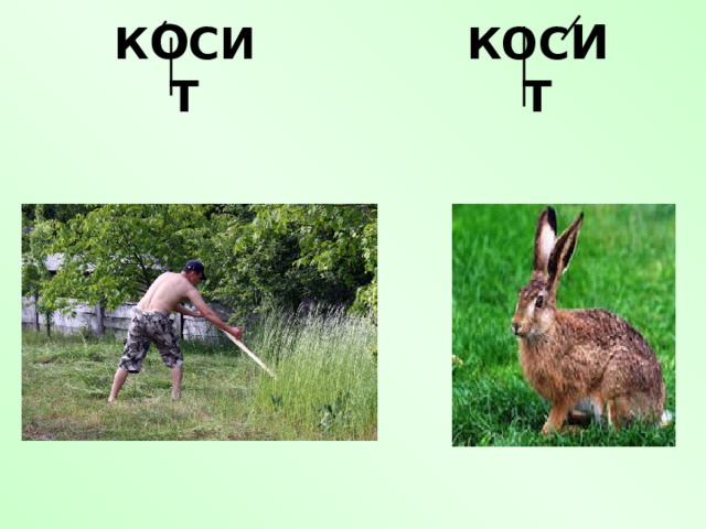 К О СИТ КОС И Т 