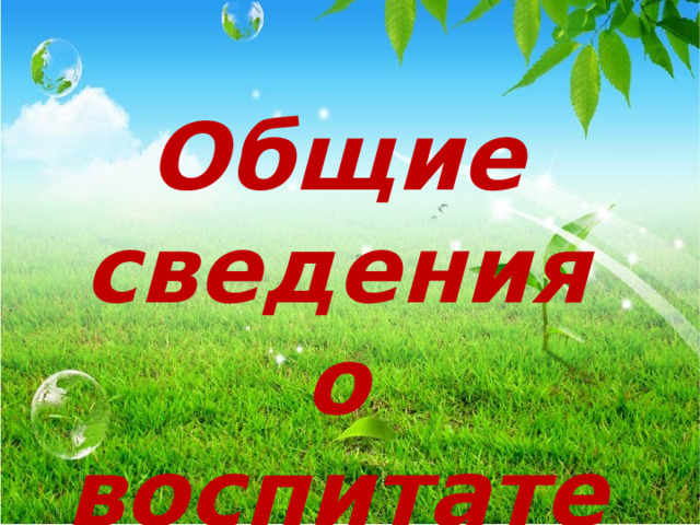 Общие сведения о воспитателе.  