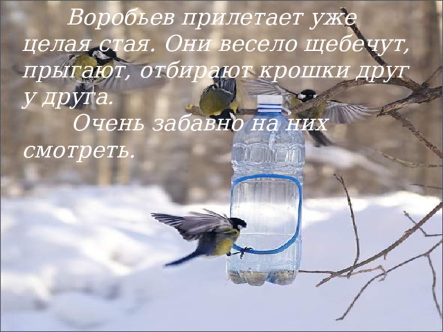 (Из дневника наблюдений)  Каждый день мы обновляем корм в кормушках. Но птички, почему-то, не прилетают.   Сегодня, наконец-то, к нам в гости при-летели два воробышка. Сначала они боялись приближаться к кормушке, прыгали с ветки на ветку. Ну вот осмелели и сели в кормушку. Стали клевать крошки хлеба и семечки. 
