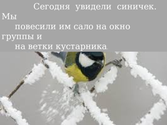  Воробьев прилетает уже целая стая. Они весело щебечут, прыгают, отбирают крошки друг у друга.  Очень забавно на них смотреть. 