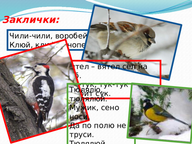  Сегодня увидели синичек. Мы  повесили им сало на окно группы и  на ветки кустарника . 